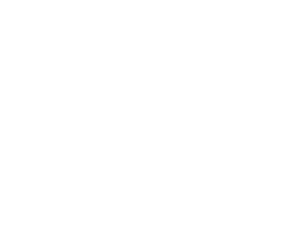 Delivery Blunex